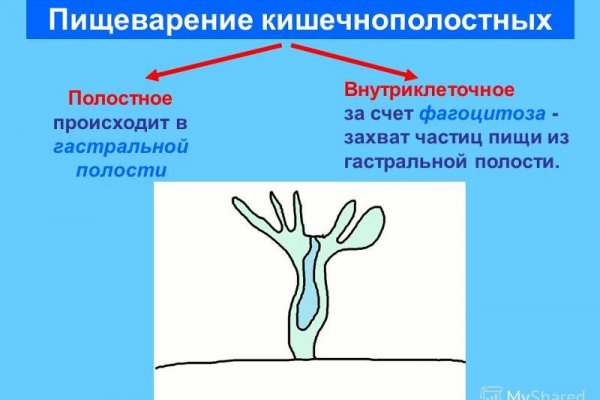 Hydra маркетплейс
