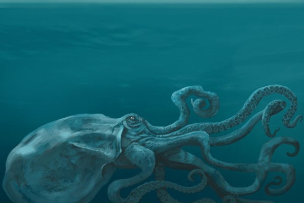 Кракен сайт 1kraken me официальный