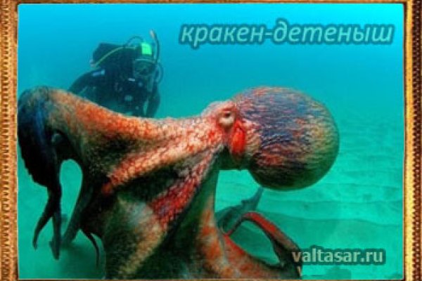 Как зайти на кракен через айфон