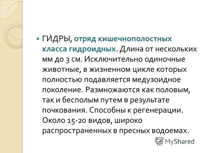 Кракен точка